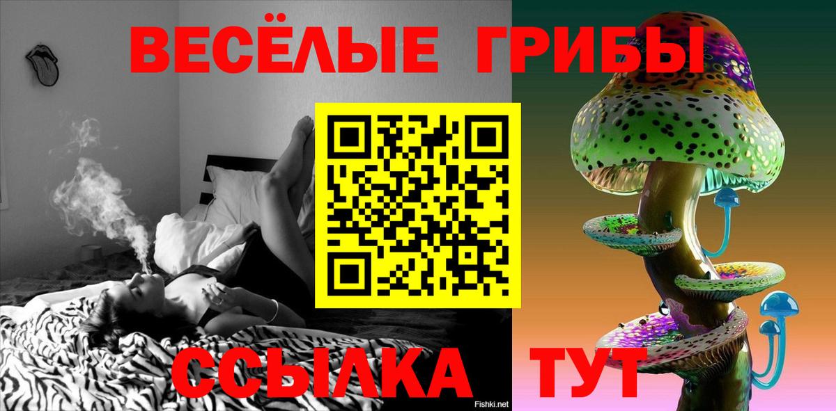 Псилоцибиновые грибы мухоморы  Вход с VPN  Канаш  Псилоцибиновые грибы мухоморы 
